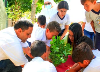 Reforestación de Maneiro marcha al ritmo del plan municipal "Viveros Escolares"