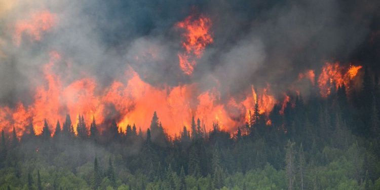 Vuelven los tapabocas en Nueva York por humo de incendios en Canadá