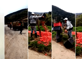 Régimen venezolano pretende acallar crisis agrícola encarcelando productores del campo