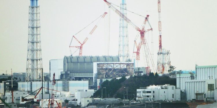 China suspende importaciones de todos los productos acuáticos japoneses