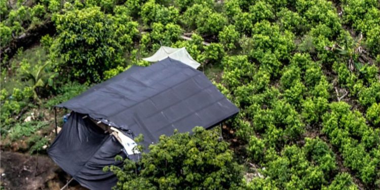 Colombia: aumentan las exportaciones de cocaína y caen las de petróleo