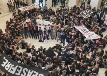 Manifestantes pro Palestina invadieron edificio del Capitolio de EEUU