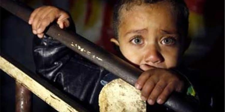 Silencio de famosos en redes sociales: ¿Por qué evitan campañas en apoyo a las víctimas de Israel?