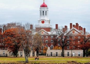 Estudiantes de Harvard despedidos de reconocido bufete de abogados por apoyo a Hamás