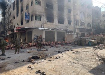 Decenas de terroristas de Hamás se rindieron ante el Ejército de Israel en Gaza