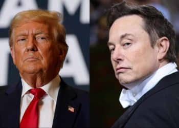 Hombre que filtró informes fiscales de Trump y Elon Musk es condenado en Washington