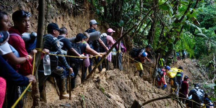 Panamá advierte que este año la cifra de migrantes irregulares será superior a 2023