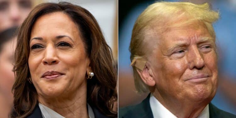 ¿Cuáles son las propuestas de Harris y Trump sobre migración y política fronteriza?