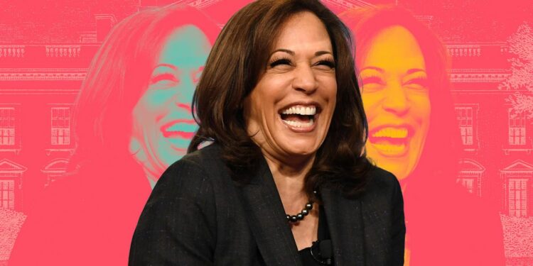 ¿Un camino hacia la igualdad? Kamala Harris, de vicepresidenta a candidata presidencial de EE.UU.