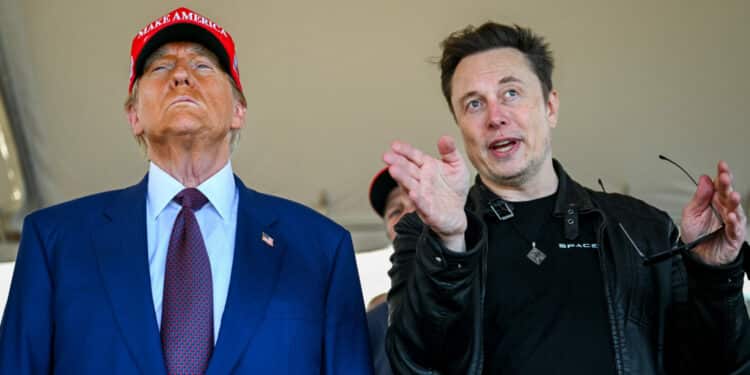 Trump y Musk destapan posible fraude masivo en el Social Security de EE.UU