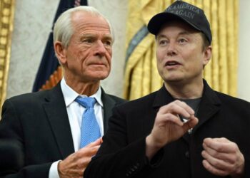 La polémica entre Elon Musk y Peter Navarro