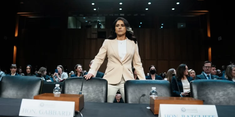 Tulsi Gabbard remite dos casos de presuntas filtraciones al Departamento de Justicia y anuncia un tercero en proceso