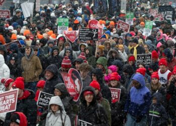 "Guerra mundial contra el no nacido": los abortos suponen la mitad de las muertes en el mundo cada año