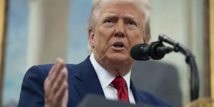 Trump está «decepcionado» con Putin y le da dos semanas para demostrar si quiere la paz