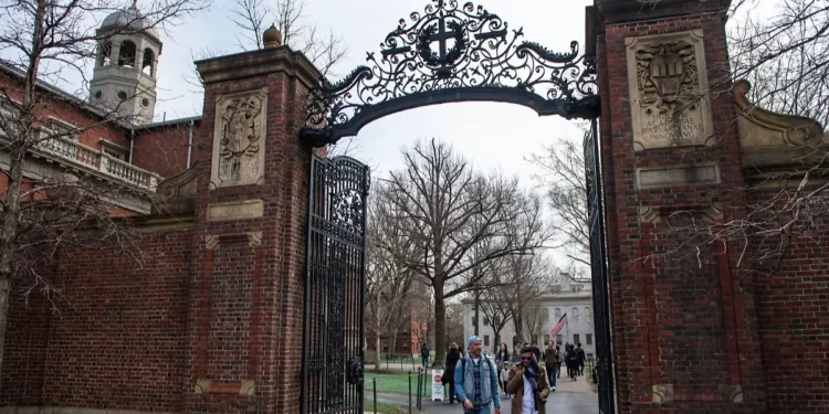 No habrá nuevas becas para Harvard, según la secretaria de Educación