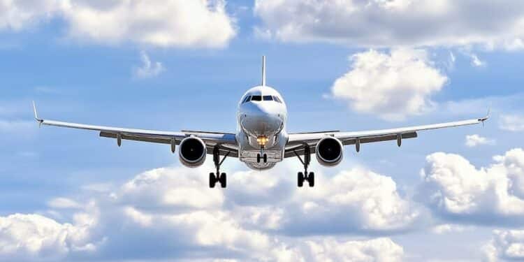 Estados Unidos pierde viajeros: las aerolíneas confirman el impacto de las nuevas políticas de inmigración