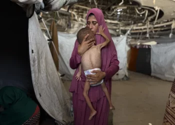 La ONU declara oficialmente la situación de hambruna en la Franja de Gaza